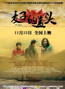 精品国产三级v
